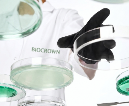 Wir ersetzen traditionelle synthetische Beruhigungsmittel durch eine medizinische botanische Matrix mit hochreinem Centella Asiatica (Cica) und Allantoin. Diese kraftvolle Synergie beschleunigt die Zellreparatur und dämpft neurogene Entzündungen, wodurch selbst bei klinischen BHA-Schwellenwerten keine Reizung auftritt. Darüber hinaus nutzt unser F&E-Team natürlich gewonnene, nicht abtragende Tenside, die eine ultra-luxuriöse, gepolsterte Schaumtextur beibehalten und gleichzeitig vollständig mit den globalen Clean Beauty Einzelhandelsvorgaben, wie Sephora Clean und den EU-Standards, übereinstimmen. Um die langfristige Hautgesundheit zu gewährleisten, entwerfen wir unsere Formulierungen mit intelligenten pH-Puffern. Der Reiniger hält während der Anwendung den idealen sauren pH-Wert aufrecht, um die BHA-Aktivität zu optimieren, während sich der natürliche Säureschutzmantel der Haut nach dem Abspülen sofort stabilisiert.
